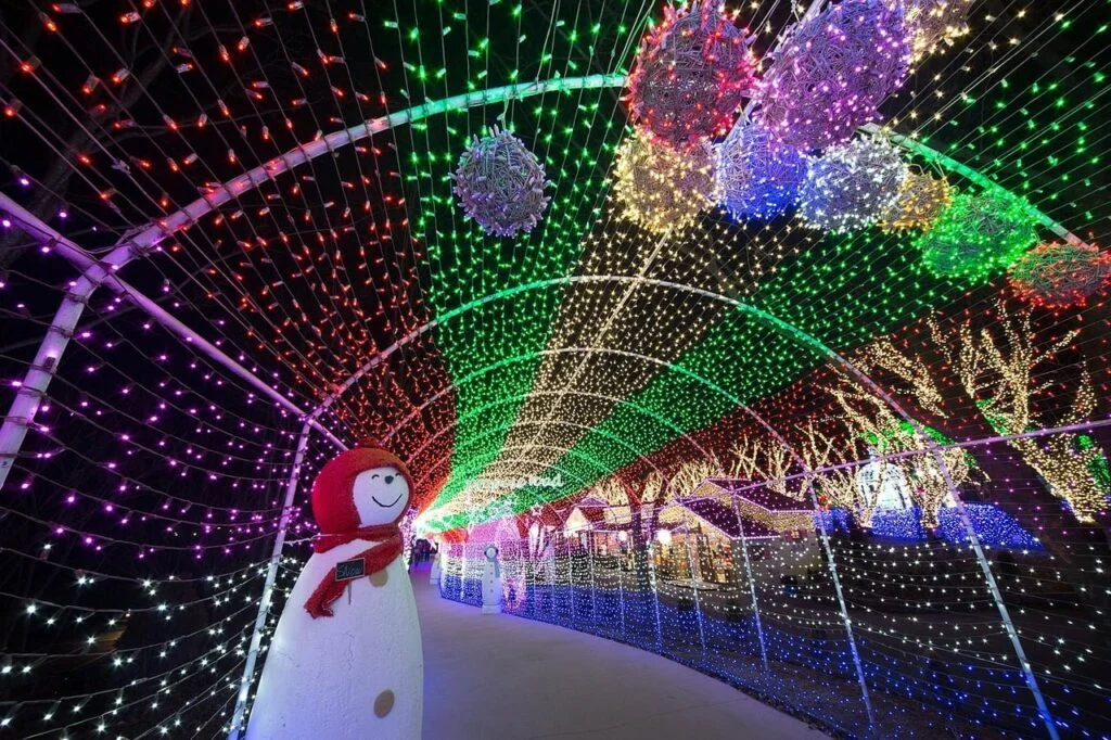 light festival, landscape, light
