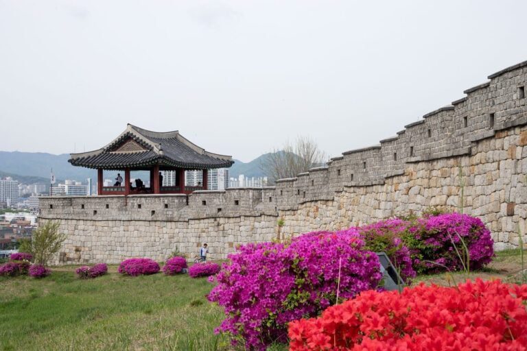 suwon hwaseong fortress, mars, beautiful flowers
