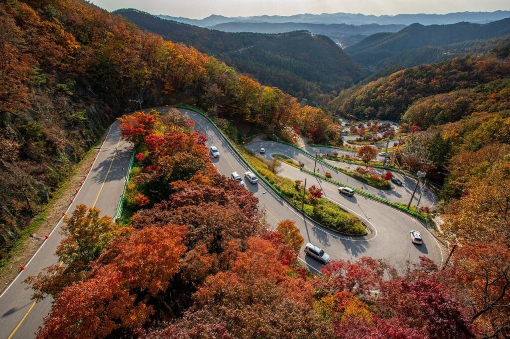 83세 아버지 신용불량