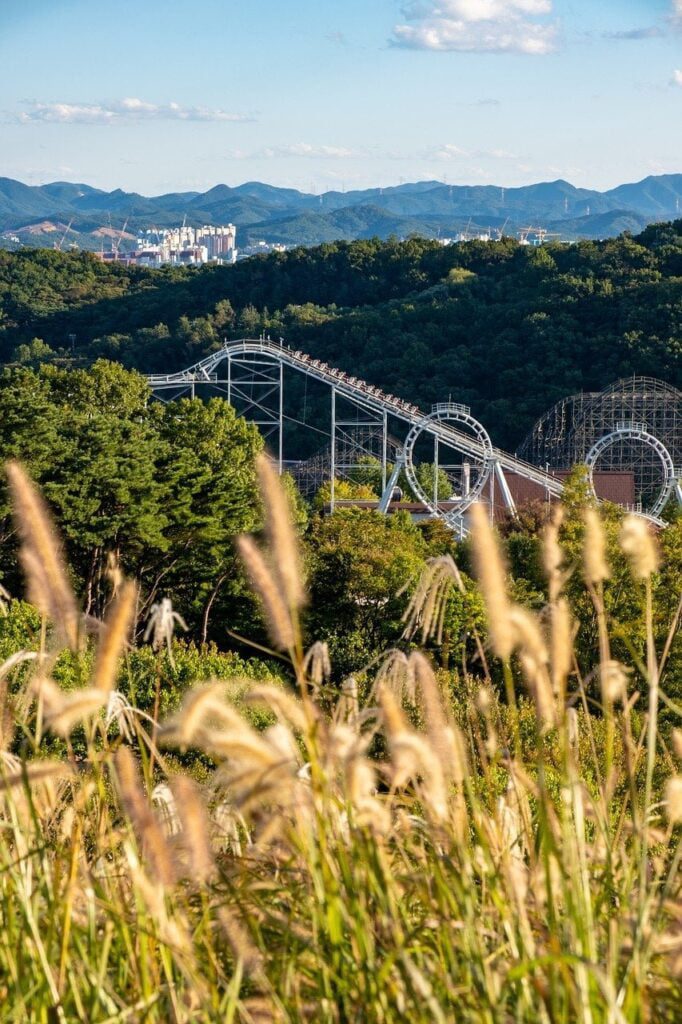 공동상속인의 상속포기, 한정승인 여부 조회 근거나 법원 지침